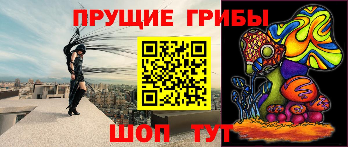 Псилоцибиновые грибы GOLDEN TEACHER  Вход с VPN  Хасавюрт 
